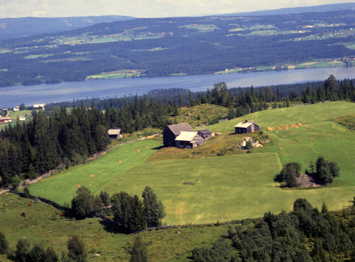 Widerøes Flyveselskap A/S, Flyfoto av Haugsstugua, Brøttum, Ringsaker.