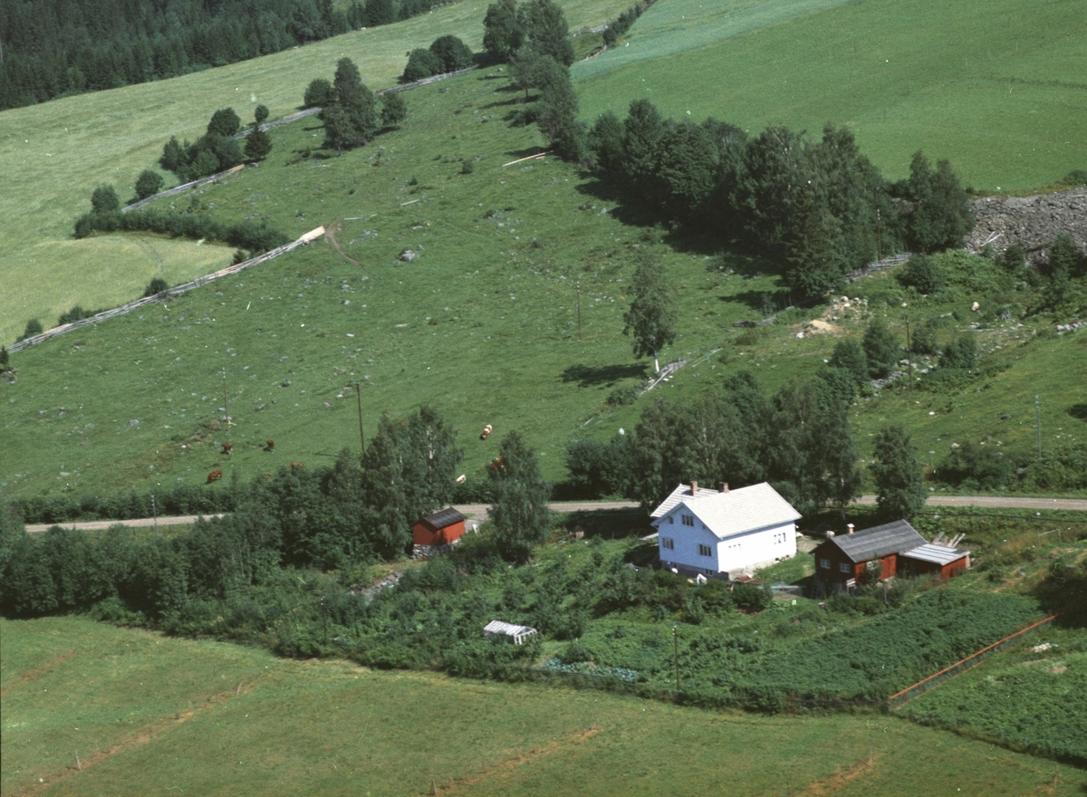 Widerøes Flyveselskap A/S, Flyfoto av Bjørke, bolighus, Brøttum, Ringsaker.