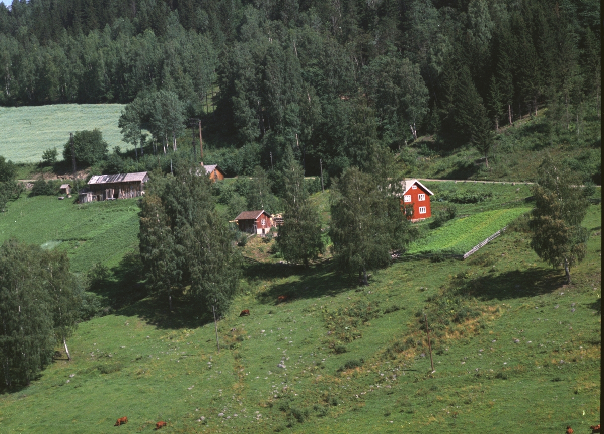 Widerøes Flyveselskap A/S, Flyfoto av Bjørkli, Ring, Ringsaker.