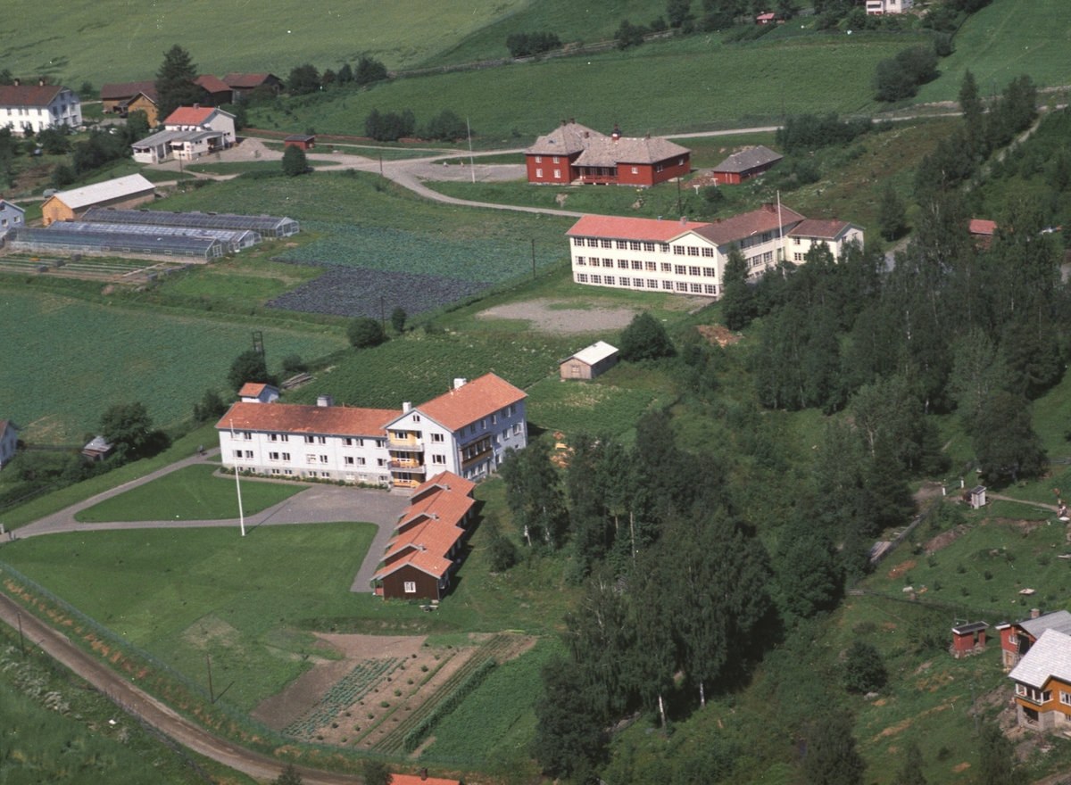 Widerøes Flyveselskap A/S, Flyfoto, Brøttum barneskole, Ringsaker.