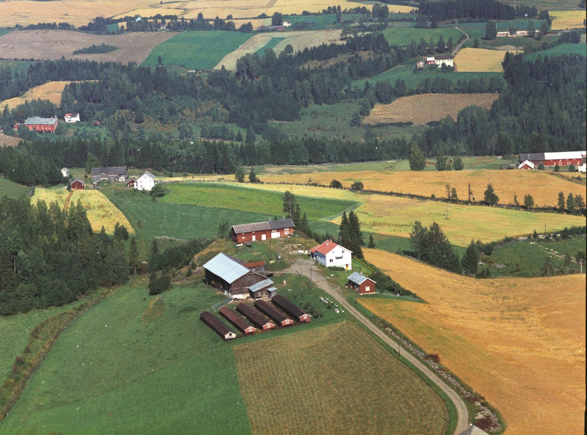 Widerøes Flyveselskap A/S, Flyfoto av Venshol, Stensengdalen, Ringsaker.