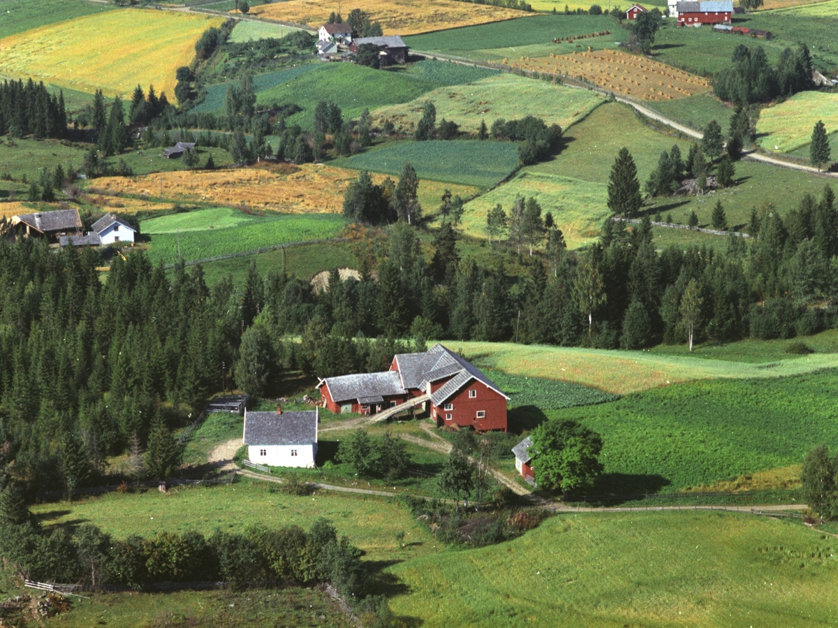 Widerøes Flyveselskap A/S, Flyfoto, Haugstua, Stensengdalen, Ringsaker.