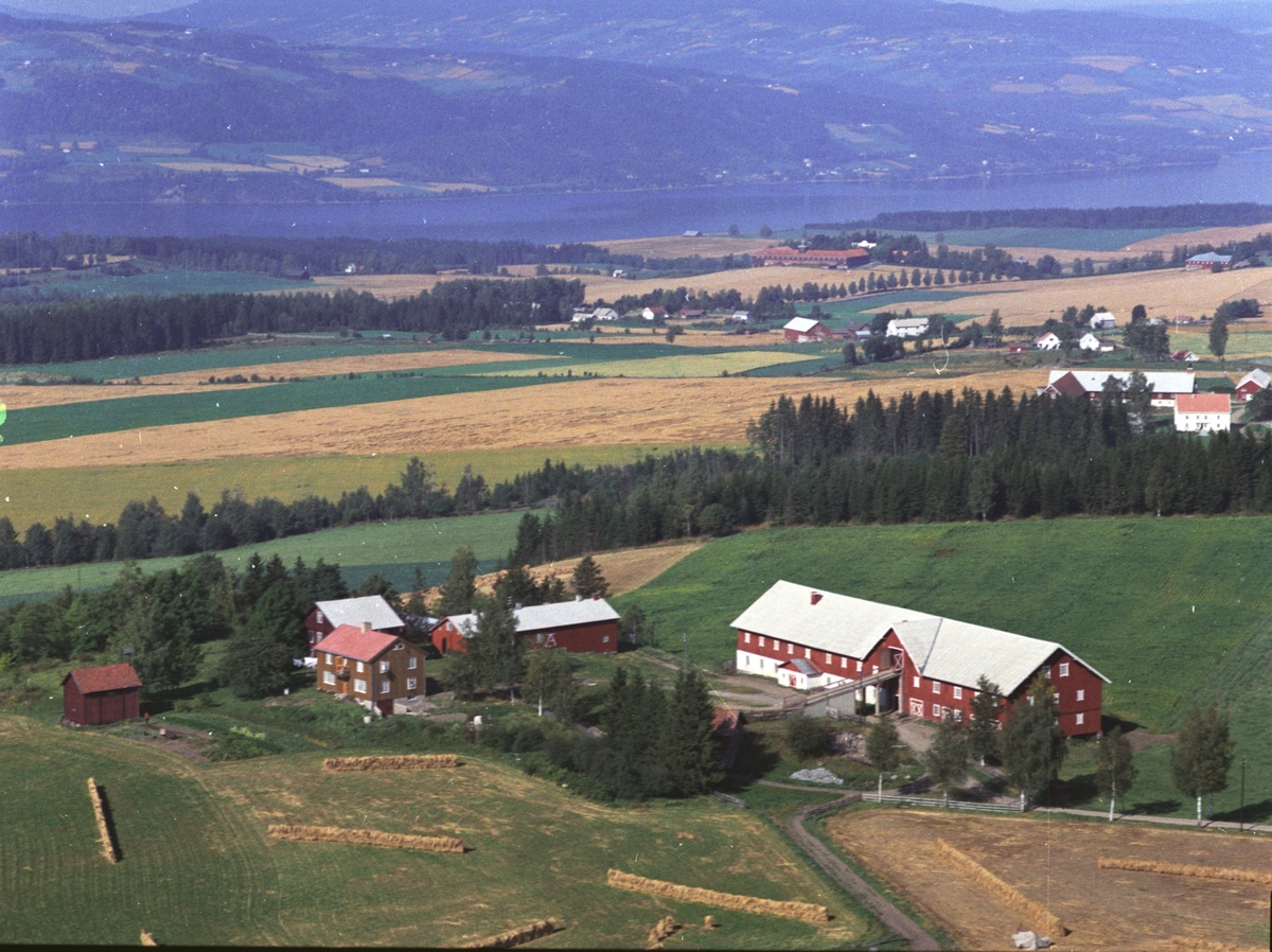 Widerøes Flyveselskap A/S, Flyfoto, Brattberg gard, Gaupen, Ringsaker.