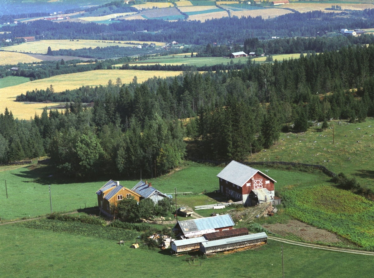 Widerøes Flyveselskap A/S, Flyfoto, Tørudbakken, Gaupen, Ringsaker.