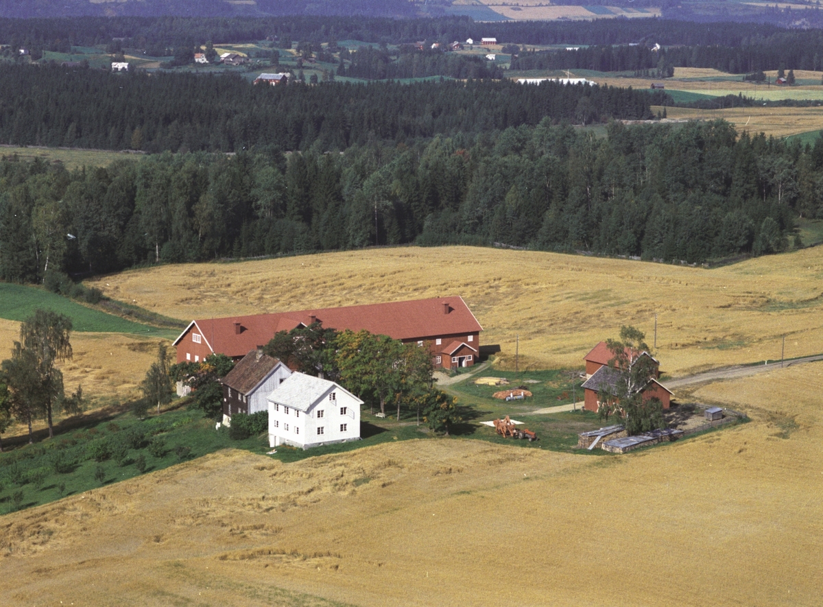 Widerøes Flyveselskap A/S, Flyfoto, Steinsrud gard, Gaupen, Ringsaker.