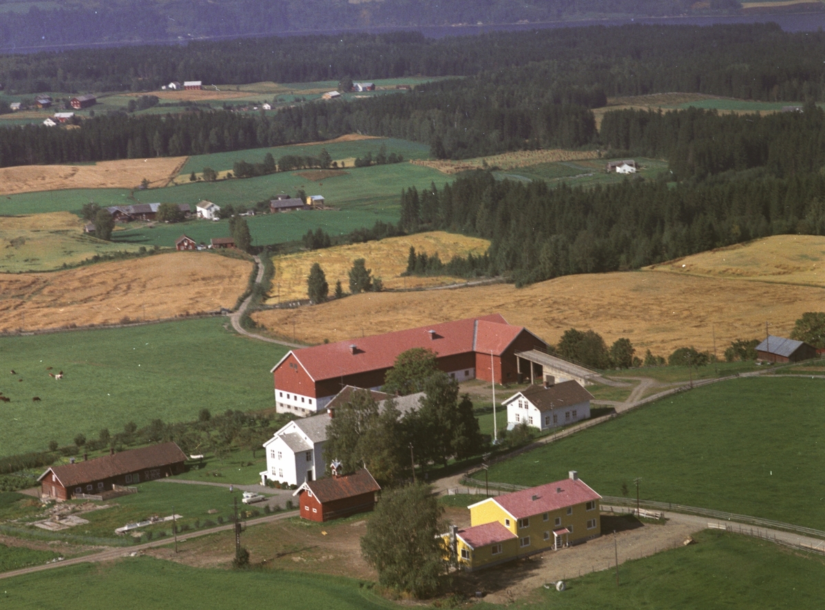 Widerøes Flyveselskap A/S, Flyfoto, Holo gard, pleiehjem, Gaupen, Ringsaker.