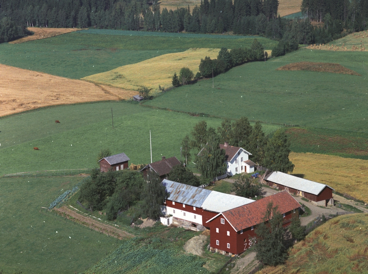Widerøes Flyveselskap A/S, Flyfoto av Haugom øvre, Gaupen, Ringsaker.