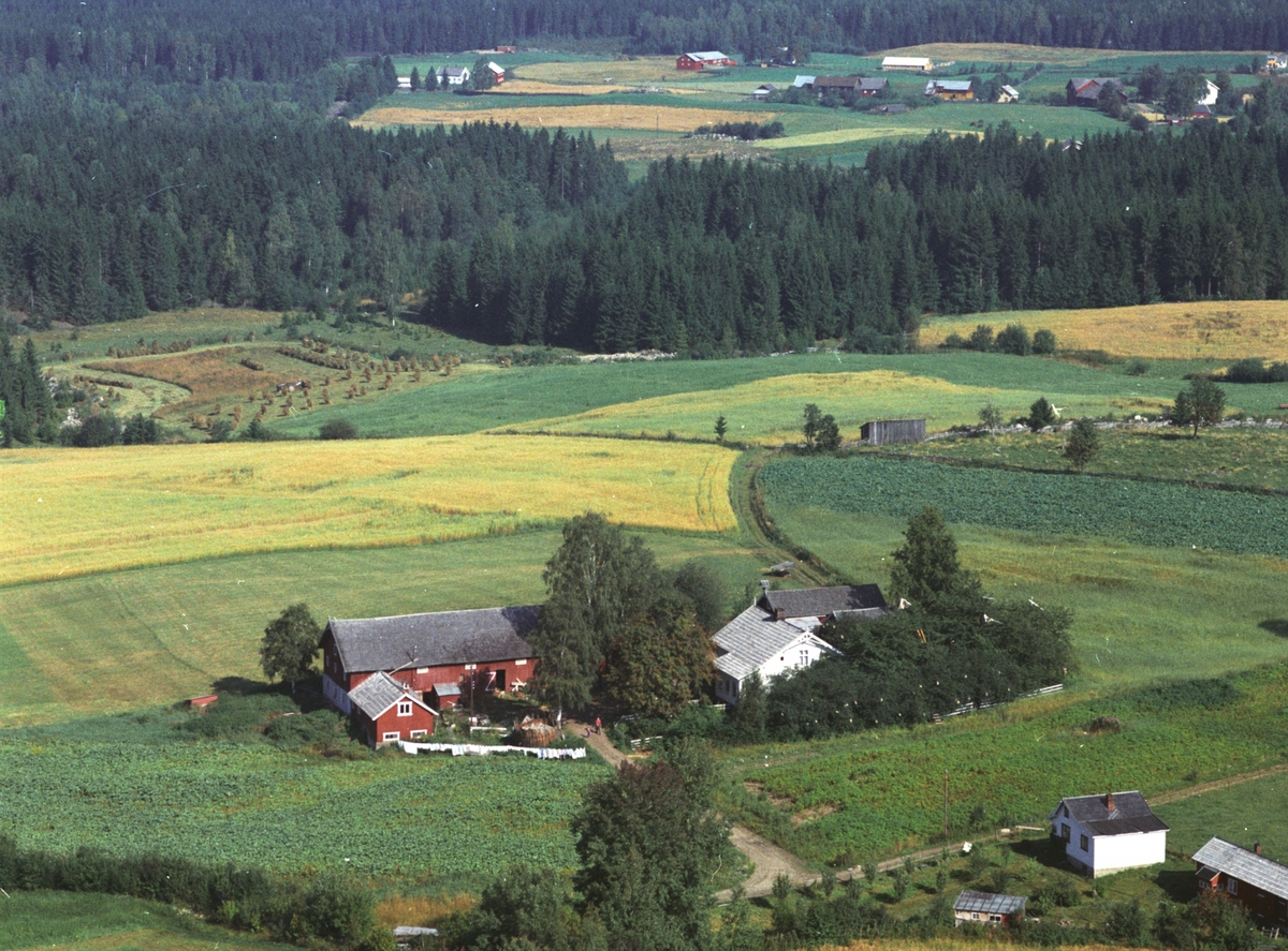 Widerøes Flyveselskap A/S, Flyfoto, Fremtid, Gaupen, Ringsaker.