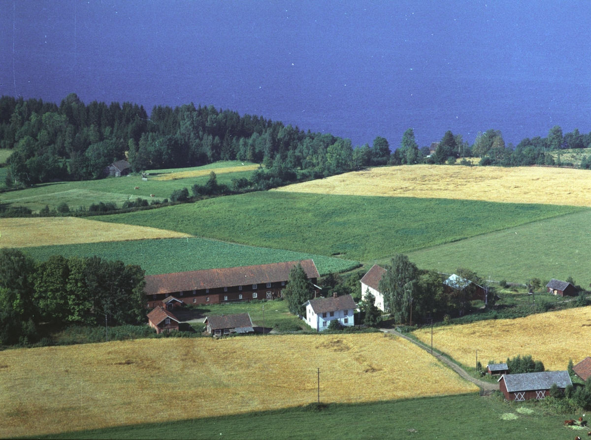 Widerøes Flyveselskap A/S, Flyfoto, Dompidal, Gaupen, Ringsaker.