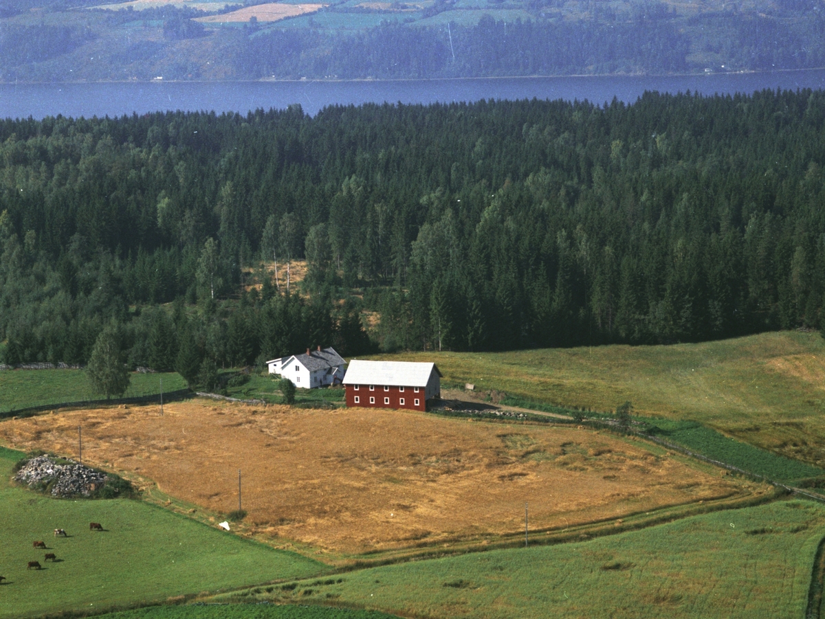 Widerøes Flyveselskap A/S, Flyfoto, Solheim, Gaupen, Ringsaker.