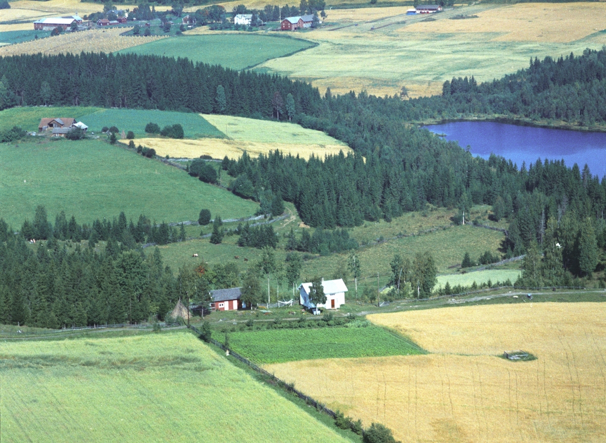 Widerøes Flyveselskap A/S, Flyfoto, Bergli, Sautjernet, Gaupen, Ringsaker.