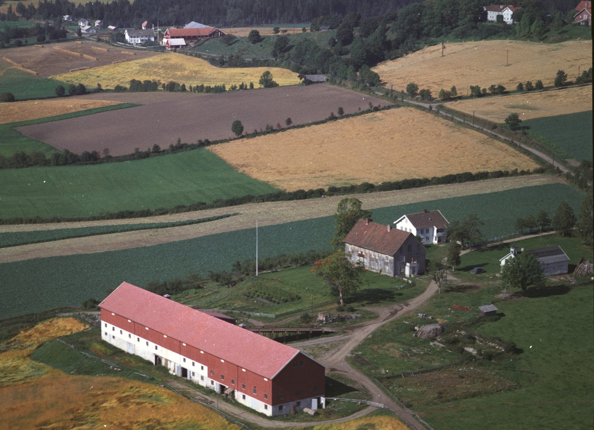 Widerøes Flyveselskap A/S, Flyfoto, Rør gard, Ringsaker.