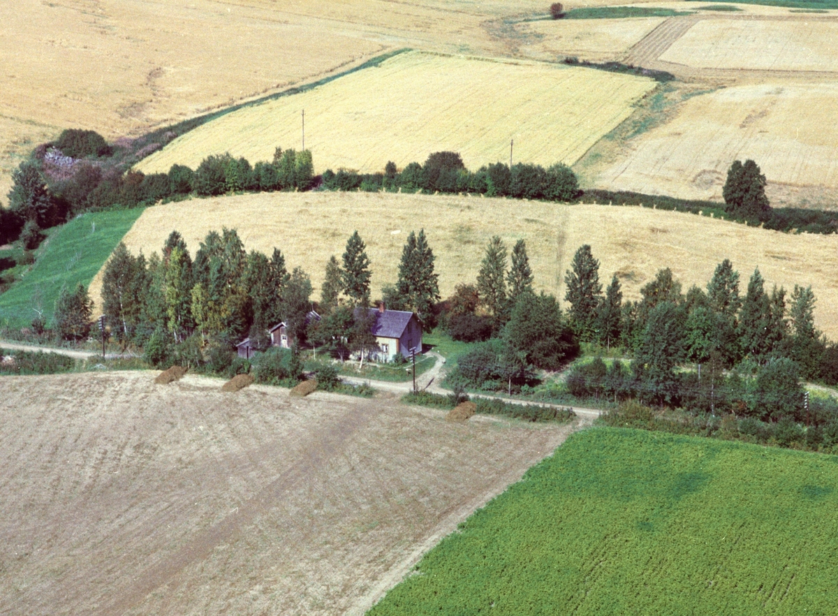 Widerøes Flyveselskap A/S, Flyfoto, bolig, Ringsaker.