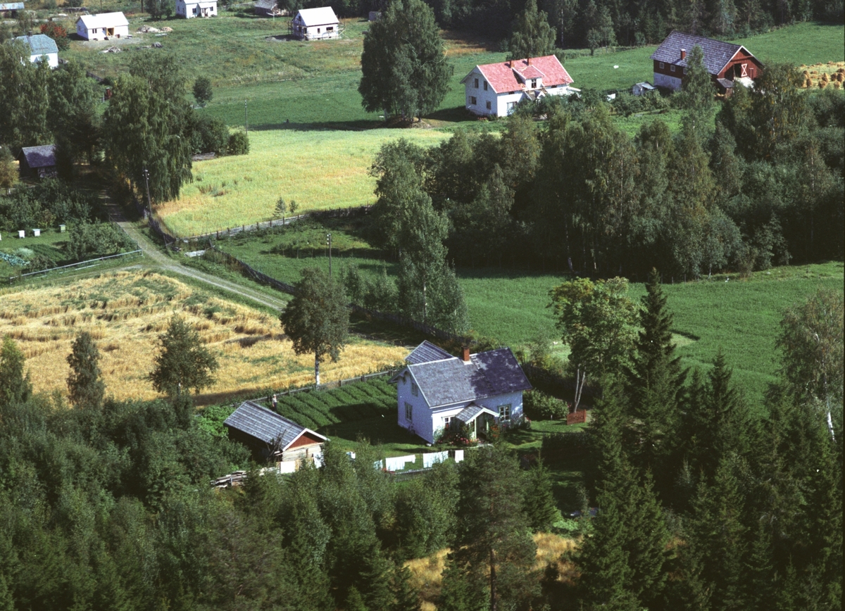 Widerøes Flyveselskap A/S, Flyfoto, Freberg, Gaupen, Ringsaker.