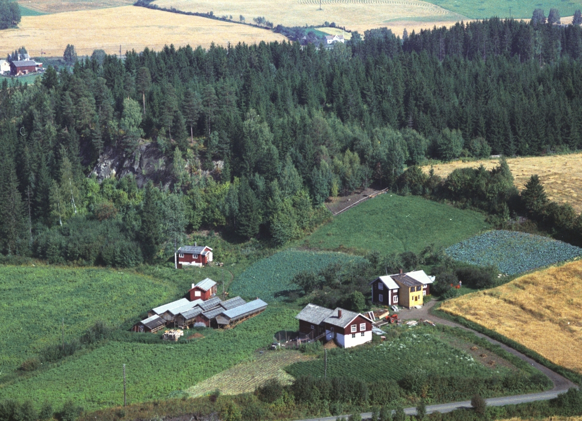 Widerøes Flyveselskap A/S, Flyfoto, Bakkeli, Ringsaker.