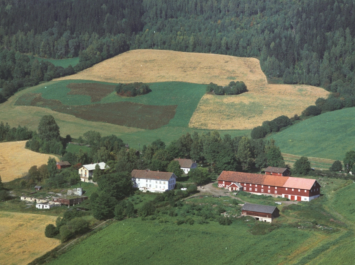 Widerøes Flyveselskap A/S, Flyfoto, Løken østre, Rudshøgda, Ringsaker.