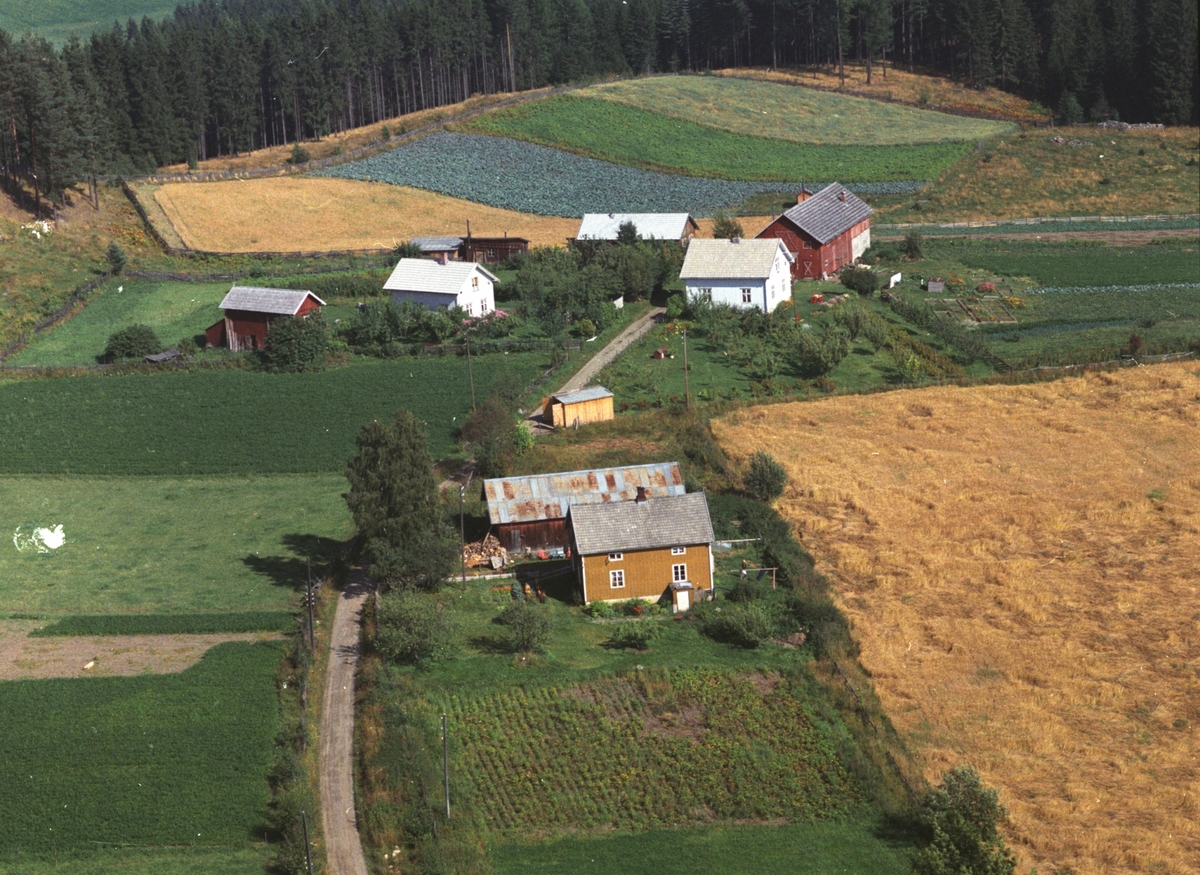 Widerøes Flyveselskap A/S, Flyfoto, Granvoll og Rønningen, Ringsaker.