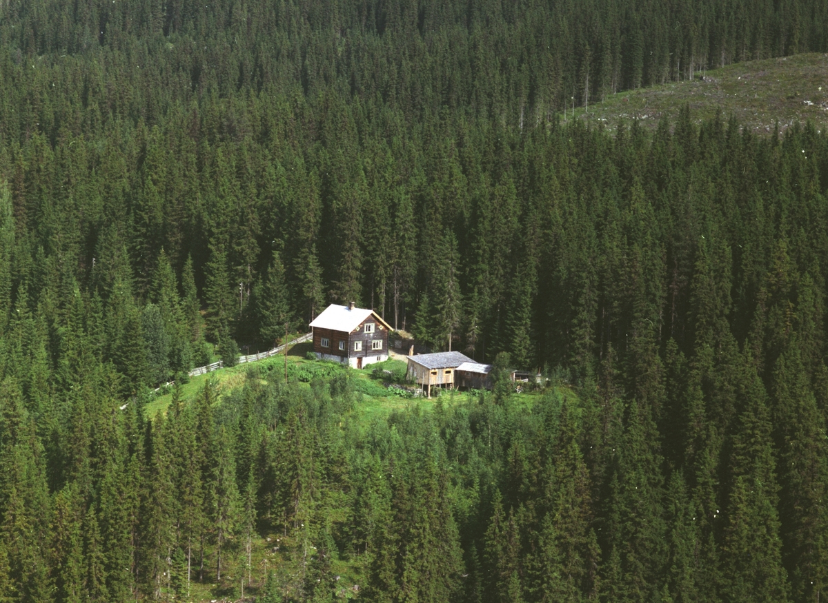 Widerøes Flyveselskap A/S, Flyfoto, Fjellbo, Mesnalia, Ringsaker.