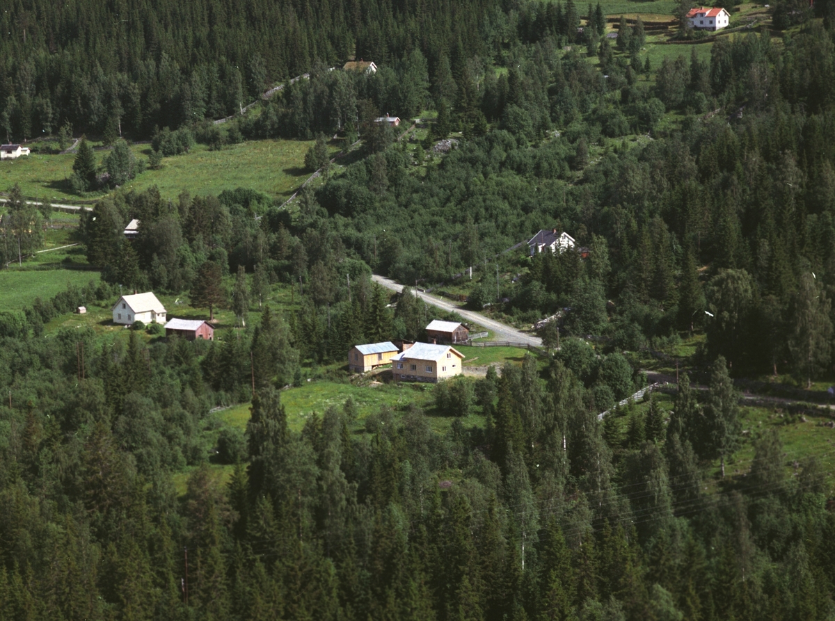Widerøes Flyveselskap A/S, Flyfoto, Enger og Haugli, Mesnalia, Ringsaker.