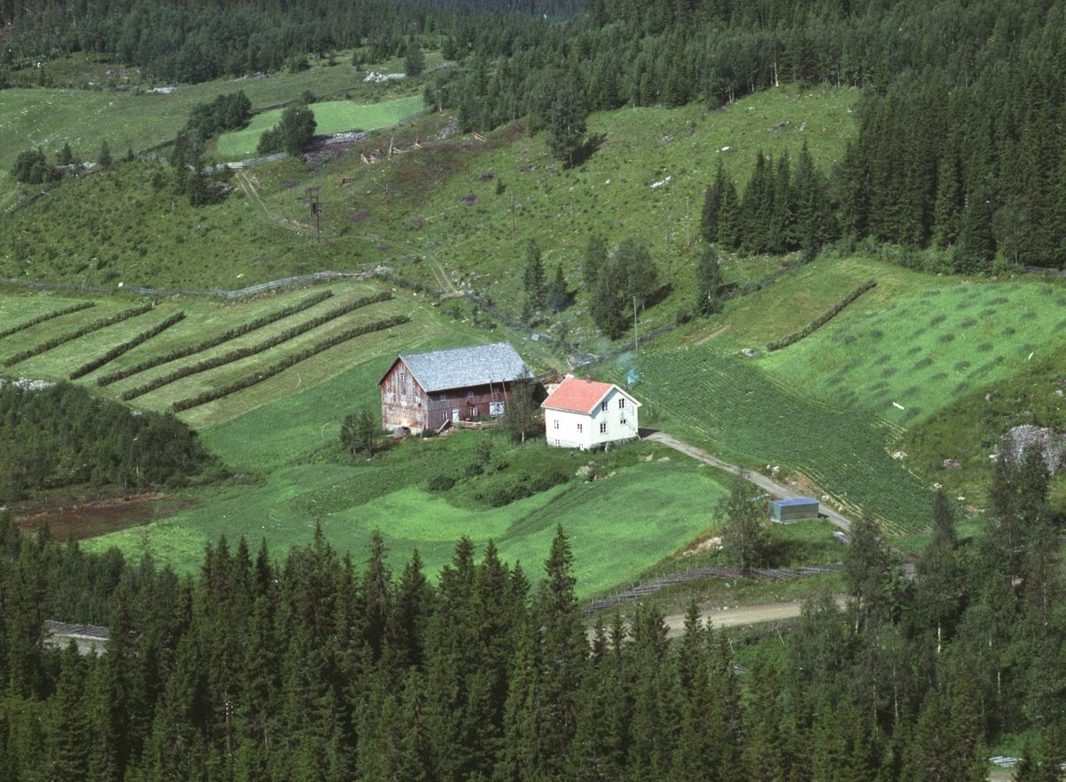 Widerøes Flyveselskap A/S, Flyfoto, Brattlia, Mesnalia, Ringsaker.