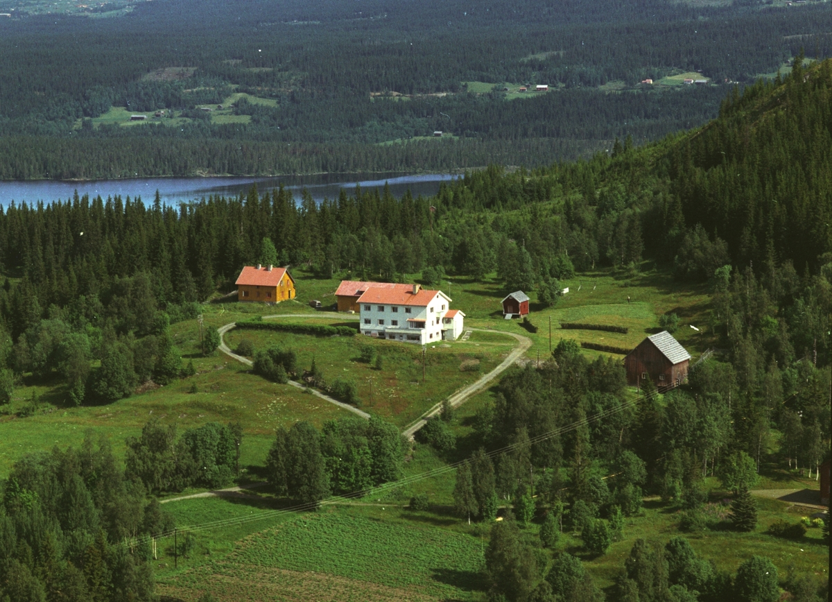 Widerøes Flyveselskap A/S, Flyfoto, Arneborg (ukjent), Mesnalia, Ringsaker.
