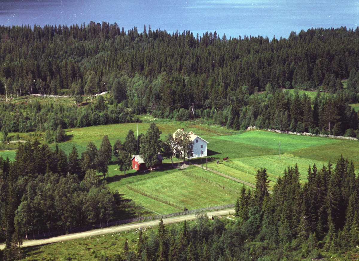 Widerøes Flyveselskap A/S, Flyfoto, Arnestad søndre, bestyrerbolig for Brøttum Almenning, Mesnalia, Ringsaker.