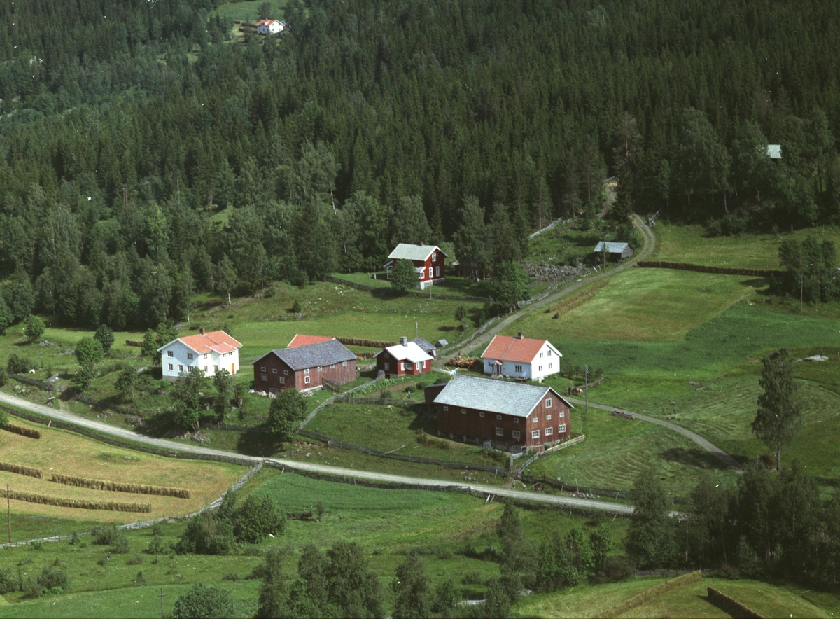 Widerøes Flyveselskap A/S, Flyfoto, Håkenstad gard, Mesnalia, Ringsaker.