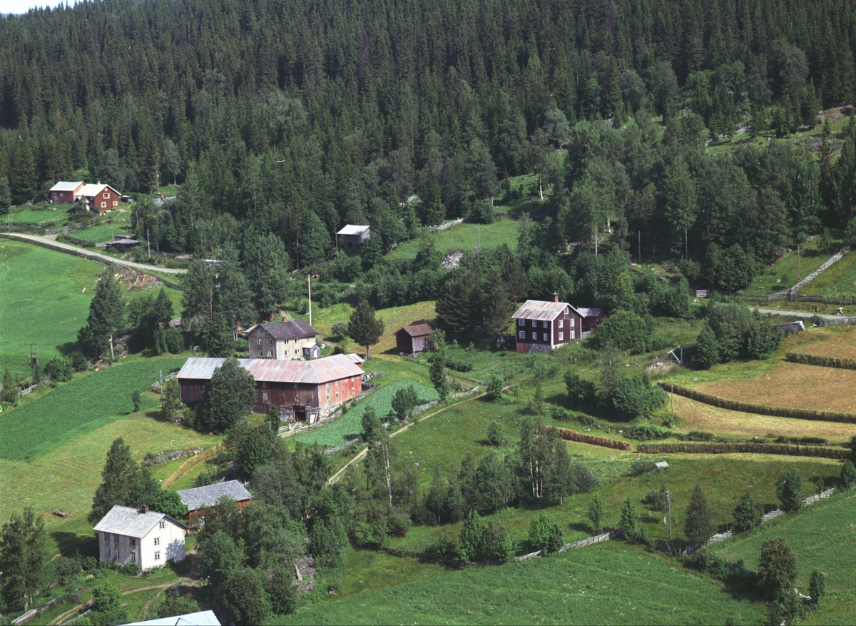 Widerøes Flyveselskap A/S, Flyfoto, Mesnhaugen øvre og nedre, Mesnalia, Ringsaker.