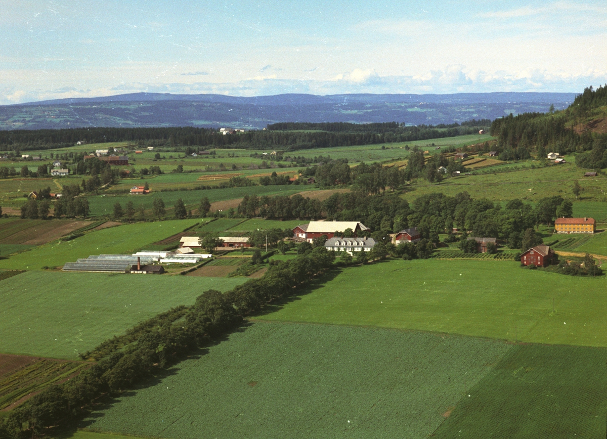 Widerøes Flyveselskap A/S, Flyfoto, gardsbruk, gartneri, Grefsheim, Nes, Hedmark.