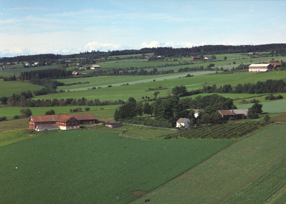 Widerøes Flyveselskap A/S, Flyfoto, gardsbruk, Bye østre, Bye vestre, Nes, Hedmark.