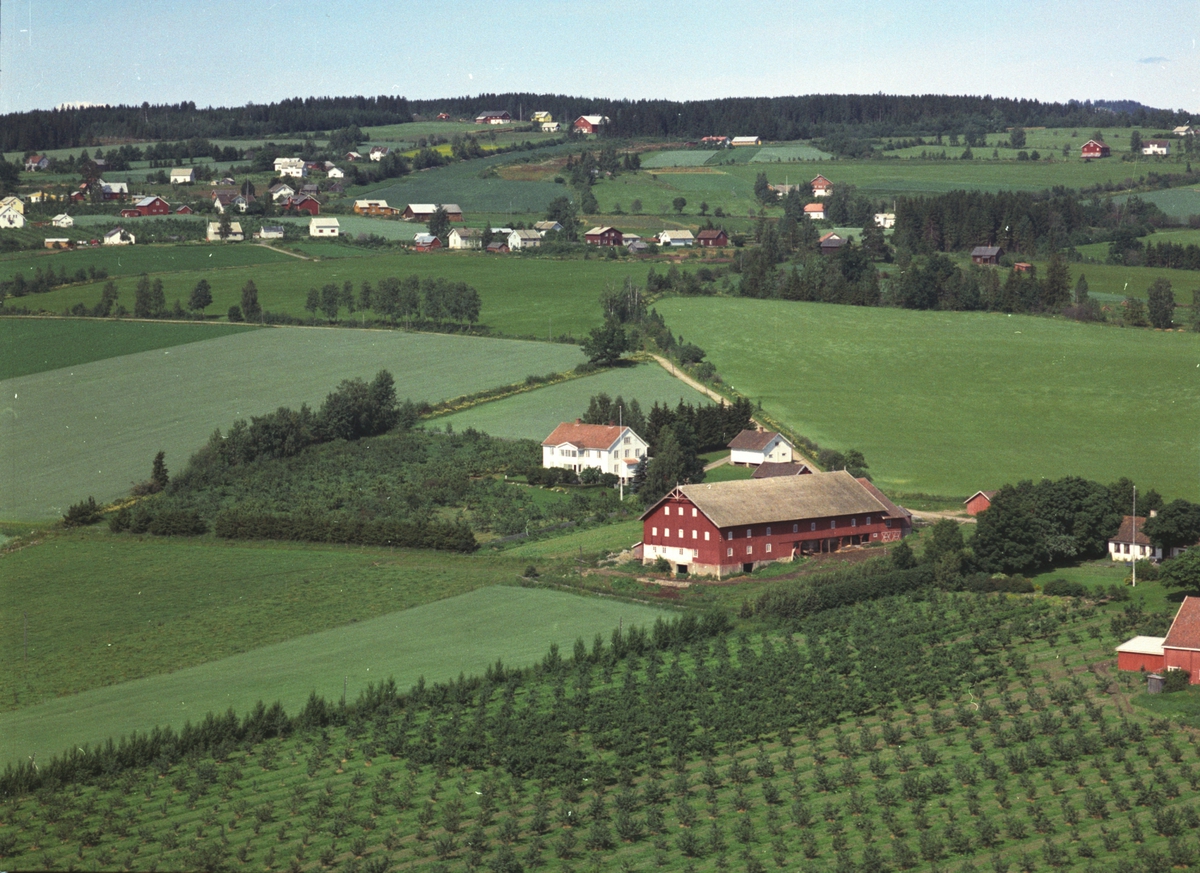 Widerøes Flyveselskap A/S, Flyfoto, gardsbruk, Skjelve vestre, Nes, Hedmark.