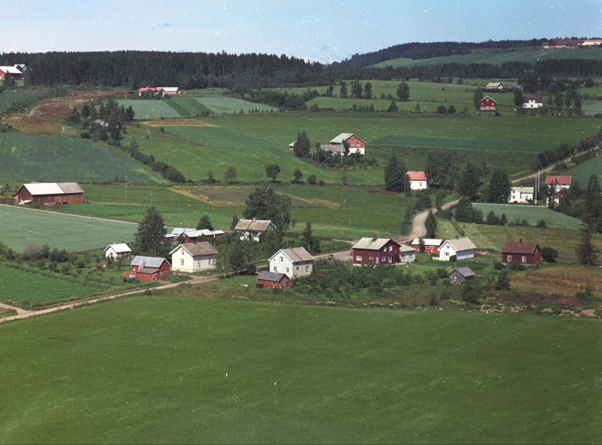 Widerøes Flyveselskap A/S, Flyfoto, bebyggelse, landbruk,Grini, Nes, Hedmark.