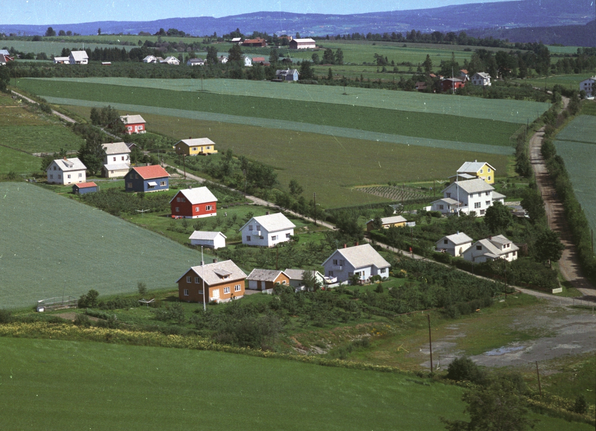Widerøes Flyveselskap A/S, Flyfoto, Tingnes, bebyggelse, Gamlevegen, lekeplassen, Nes, Hedmark.