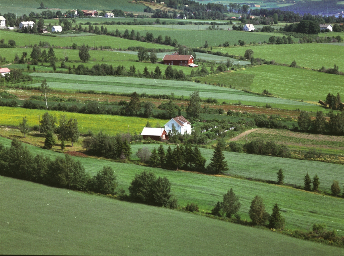 Widerøes Flyveselskap A/S, Flyfoto, småbruk, Hoelstad-eie, Nes, Hedmark.