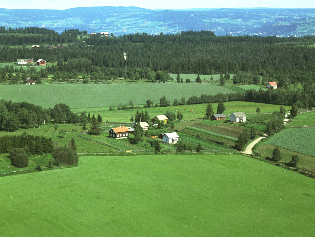 Widerøes Flyveselskap A/S, Flyfoto, jordbruk, avkjøring til Ousdal, Duengerhøgda, Nes, Hedmark.