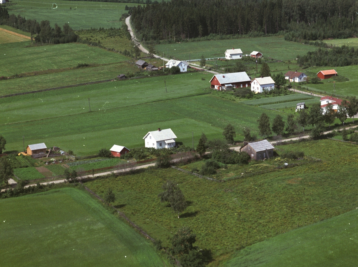Widerøes Flyveselskap A/S, Flyfoto, landbruk, Myhrstajet, Nes, Hedmark.