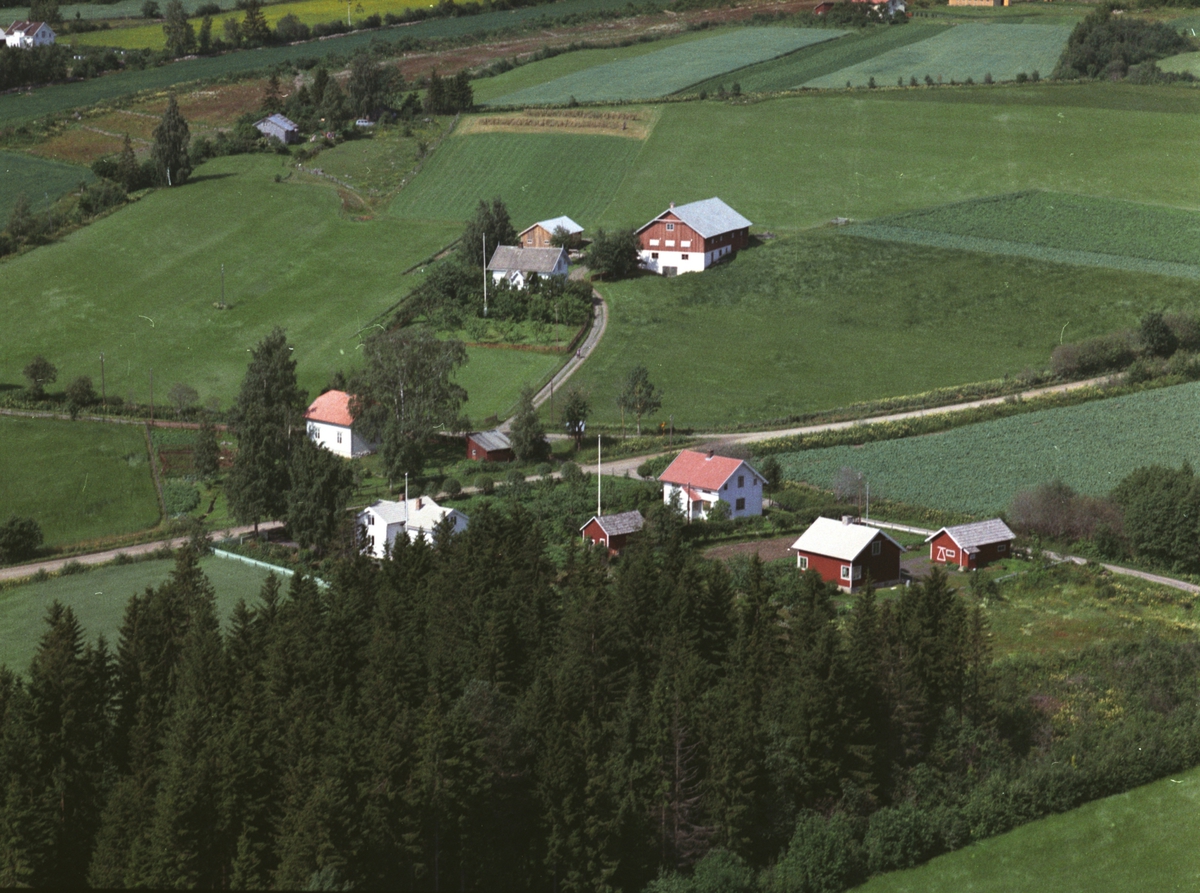 Widerøes Flyveselskap A/S, Flyfoto, gardsbruk, Grini, Nes, Hedmark.
