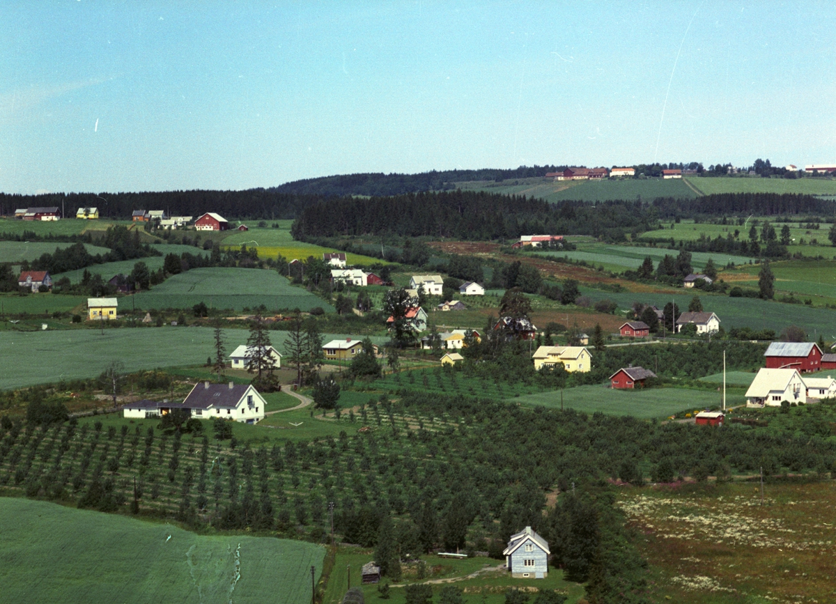 Widerøes Flyveselskap A/S, Flyfoto, Seland, bebyggelse, frukttrær, Nes, Hedmark.