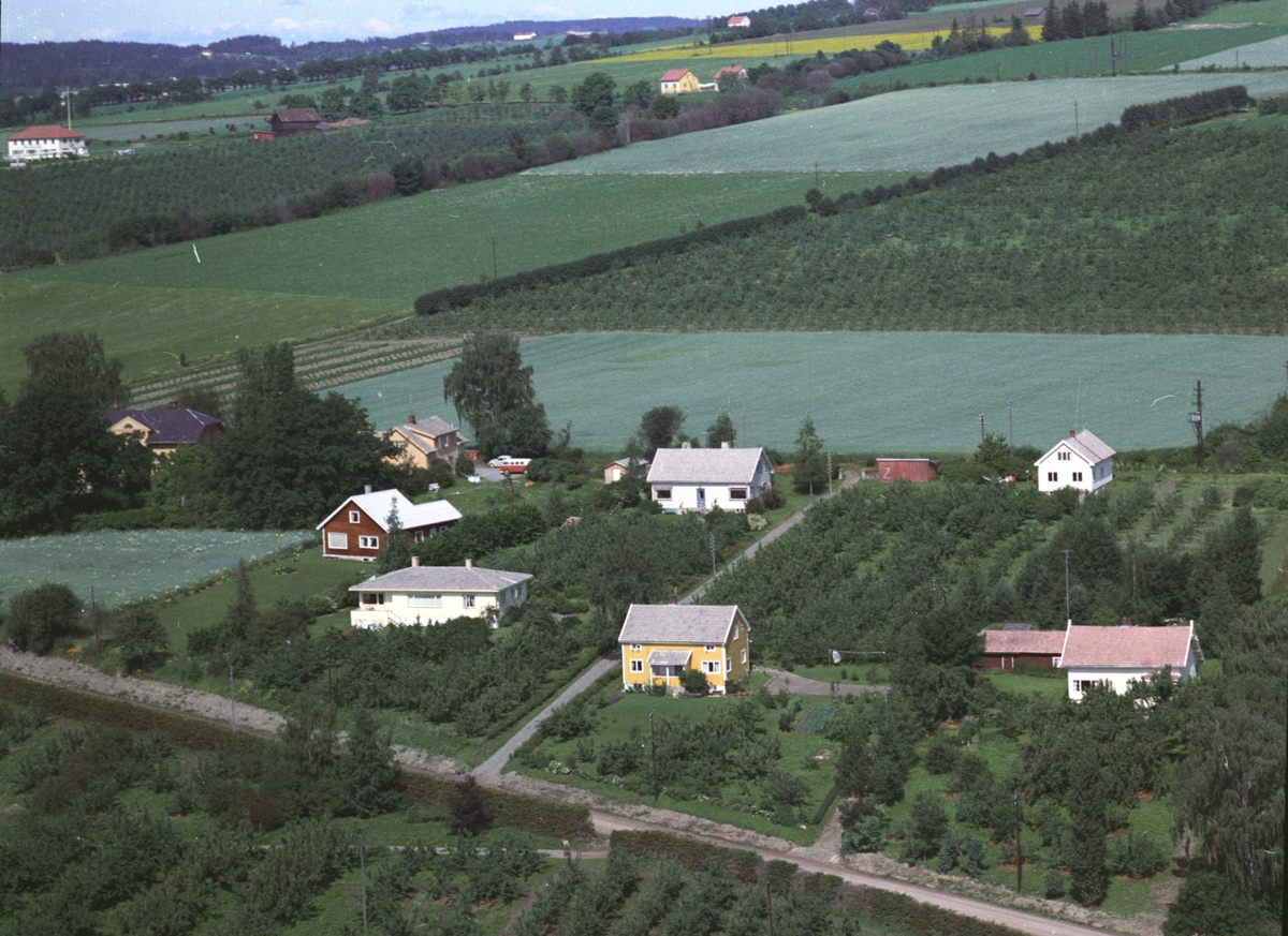 Widerøes Flyveselskap A/S, Flyfoto, Tingnesvegen, Mjøsglimt, Fruktrær, Nes, Hedmark.