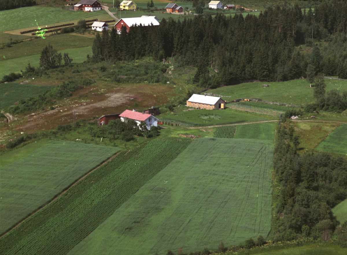 Widerøes Flyveselskap A/S, Flyfoto, småbruk, Håkenstad, Nes, Hedmark.