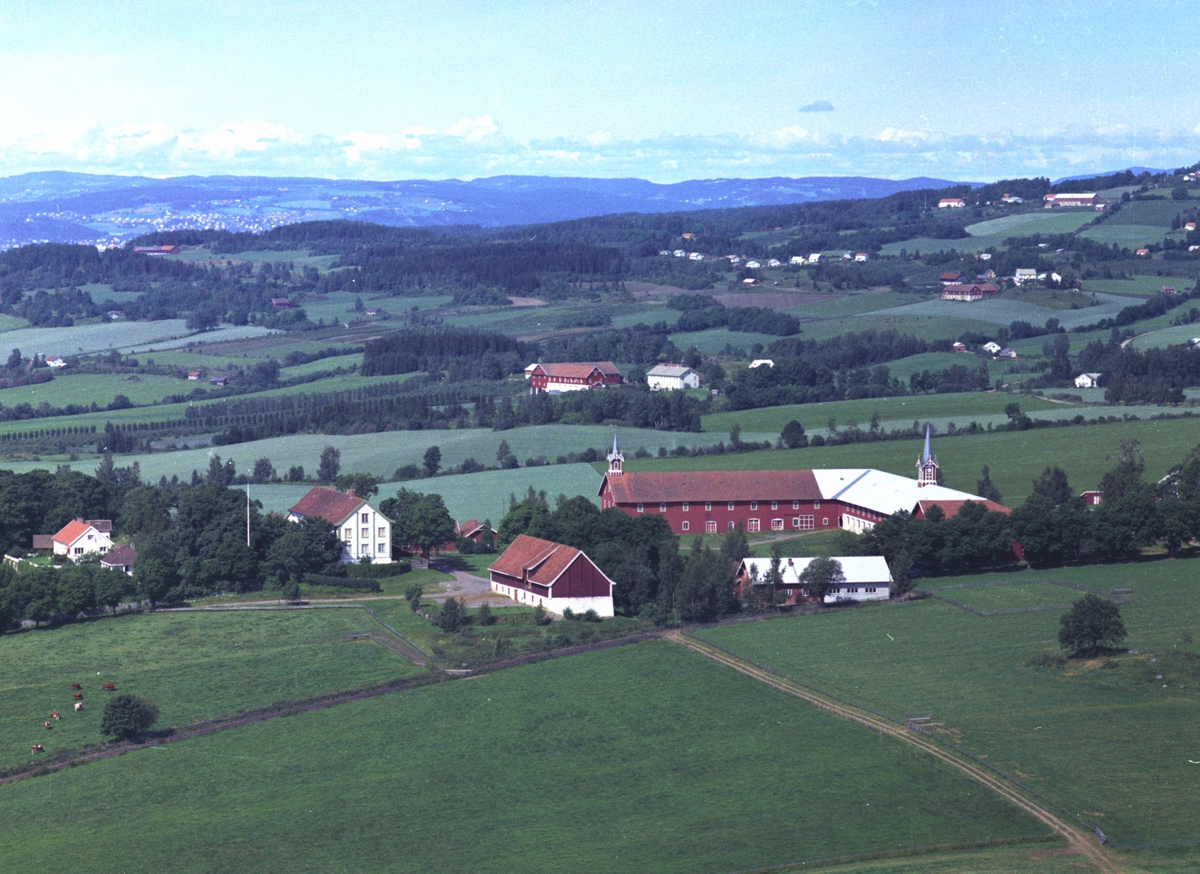 Widerøes Flyveselskap A/S, Flyfoto, gardsbruk, Hoel, Nes, Hedmark.