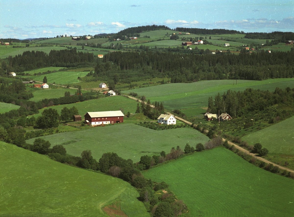 Widerøes Flyveselskap A/S, Flyfoto, gardsbruk, Kokshus, Nes, Hedmark.