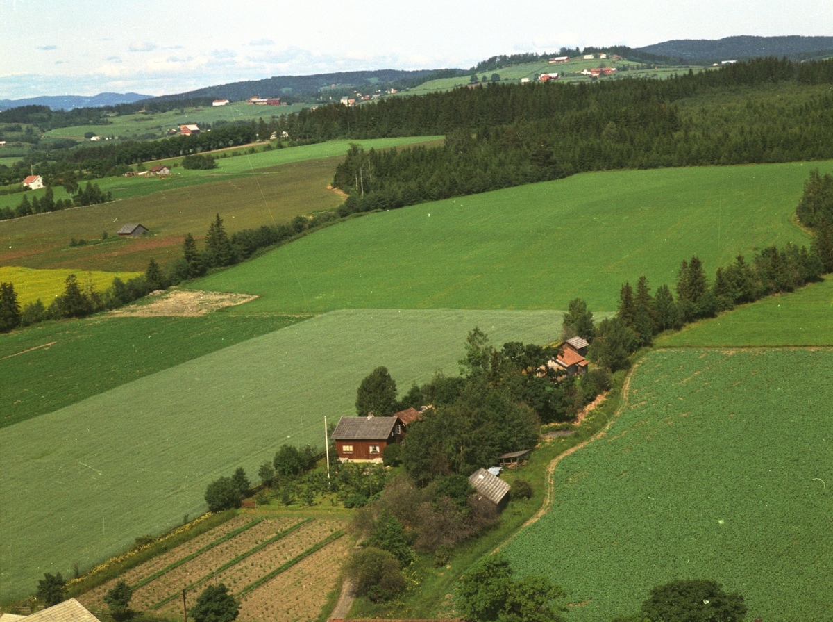 Widerøes Flyveselskap A/S, Flyfoto, bolig, Mølstadvegen, Nes, Hedmark.