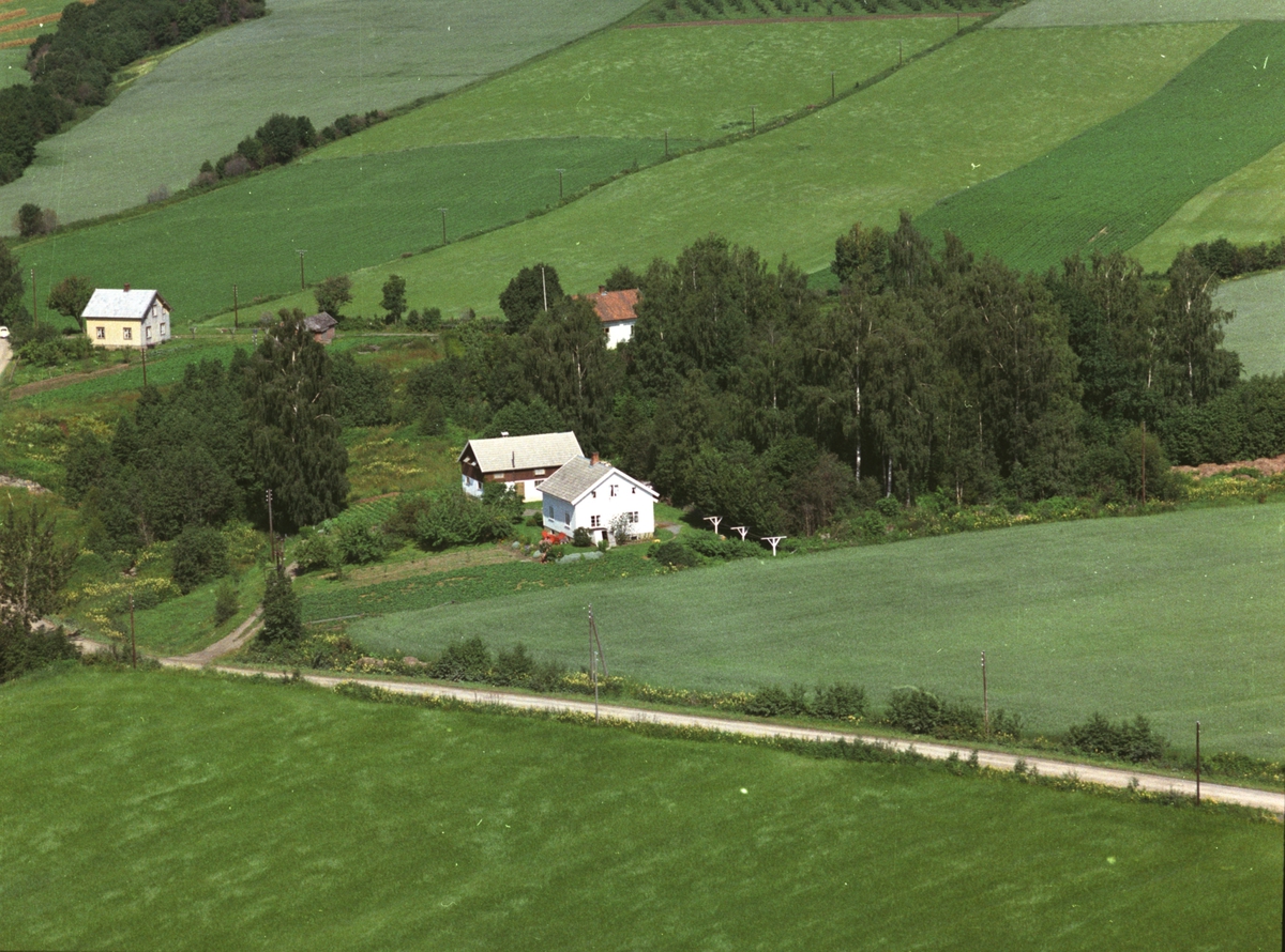 Widerøes Flyveselskap A/S, Flyfoto, bolig, Lye, Nes, Hedmark.