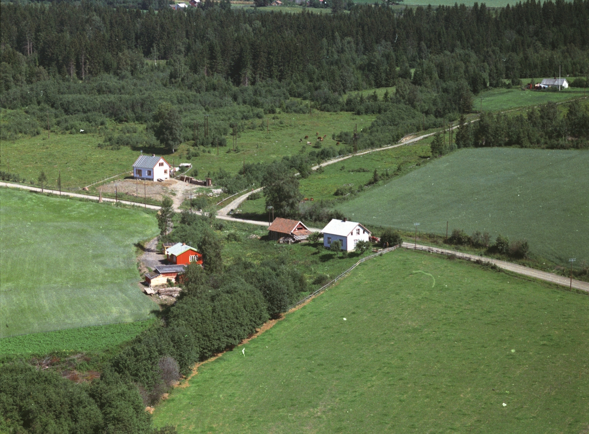 Widerøes Flyveselskap A/S, Flyfoto, boliger, Rindal, Furubakken, Nes, Hedmark.