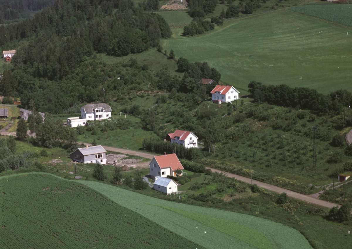 Widerøes Flyveselskap A/S, Flyfoto, småbruk, boliger, Lysthaug, Nes, Hedmark.