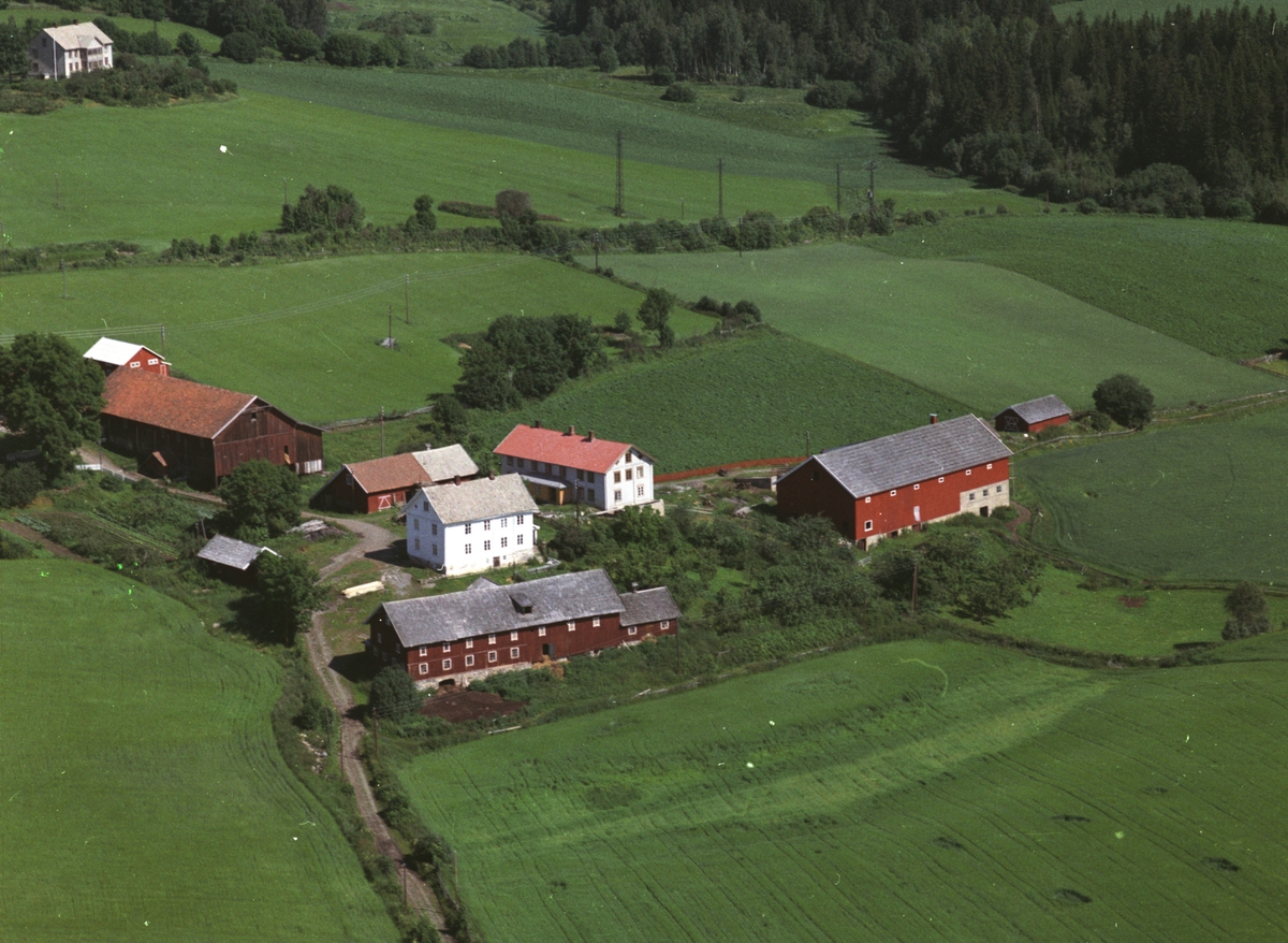 Widerøes Flyveselskap A/S, Flyfoto av Huse-gardene på Stavsjø, Hedmark.