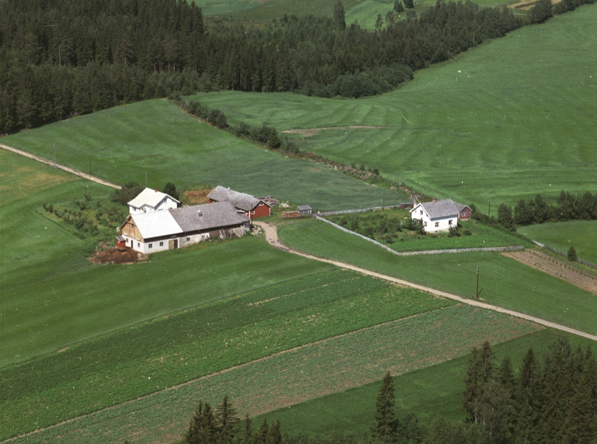 Widerøes Flyveselskap A/S, Flyfoto, småbruk, Svenmoen, Nes, Hedmark.