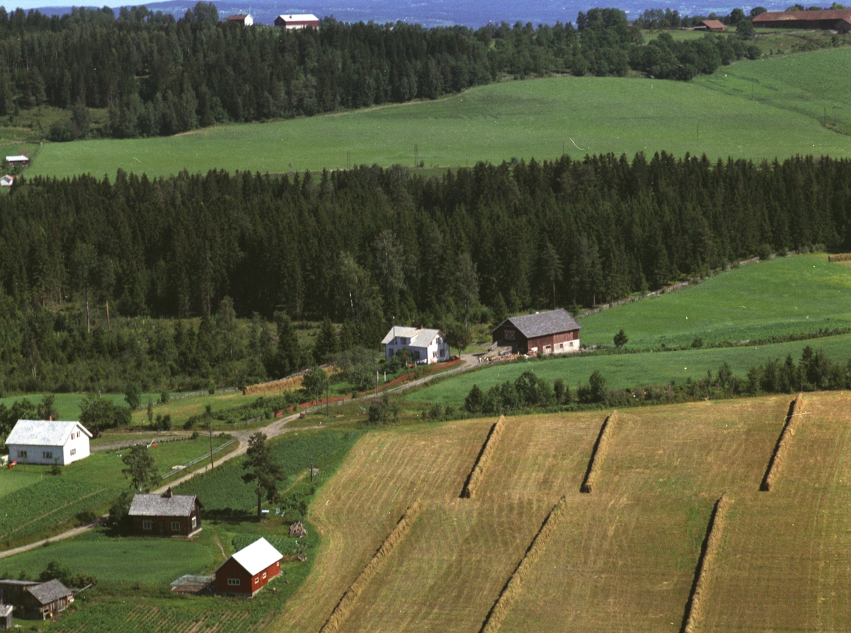 Widerøes Flyveselskap A/S, Flyfoto, småbruk, boliger, Fredlund, Nes, Hedmark.