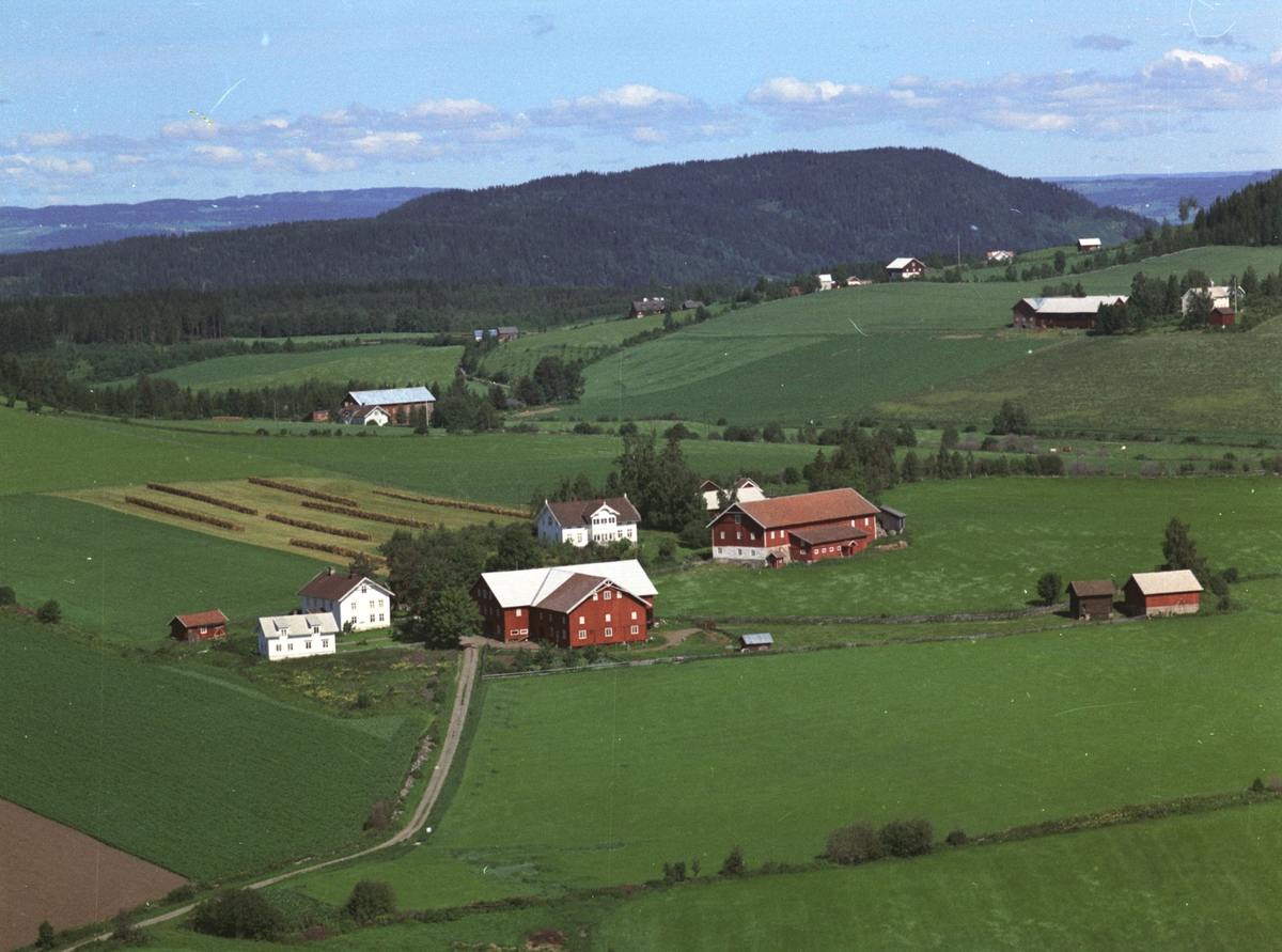 Widerøes Flyveselskap A/S, Flyfoto av Øvre og Nedre Hove, Nes, Hedmark.